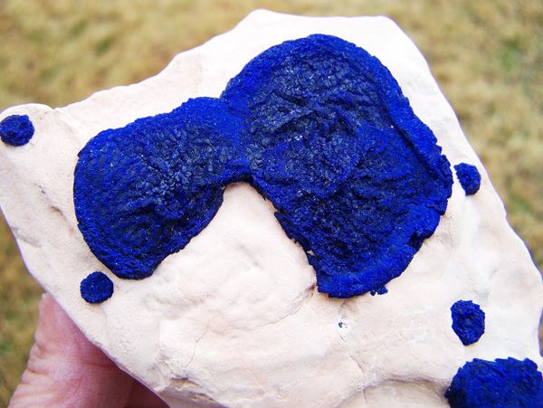 25 Blue Azurite Suns on Kaolinised Siltstone, Australia AZSun135 