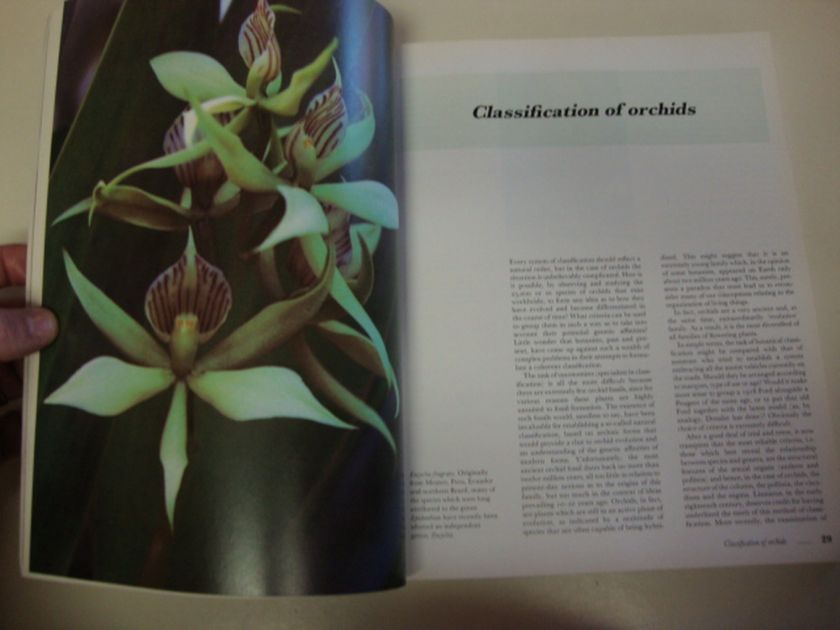 Orchids Care & Cultivation 1994 Illustrated Gardening  