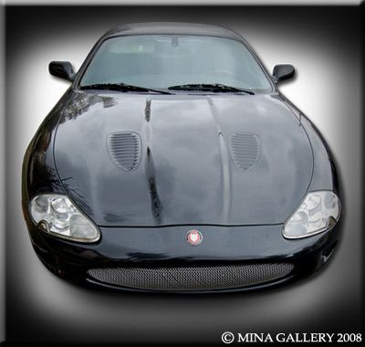 Jaguar XK8 XKR 97 2006 NEW Convex Mesh Grille Grill  