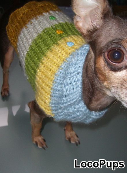 XS 3 4 LBS DOG CUTE PUPPY SWEATER WEAR CHIHUAHUA YORKIE  