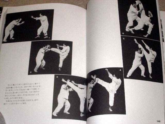 Taikikenpo Taikikempo Martial Arts Book Tai Chi Sawai m  