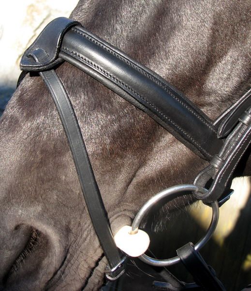   and kinross fk15 5aj united kingdom email payments saddlery4u