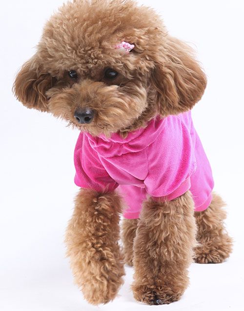 Dog PINK Hoodie J Velour Jacket Coat Jumpsuit Any Size  