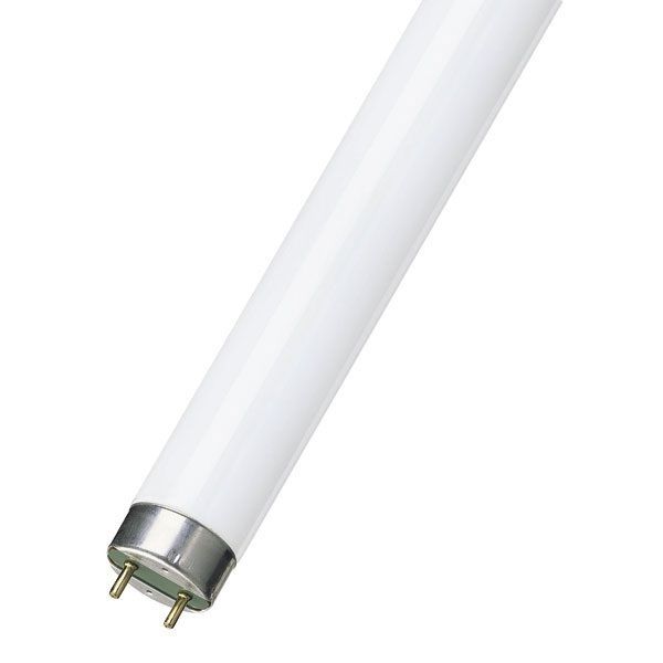 Eiko   F14T8/D   14W DayLight 6500K T 8 G13 Base Fluorescent Light 