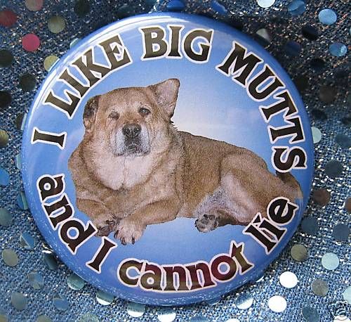 Like BIG MUTTS & I cannot LIE dog badge button pin M  