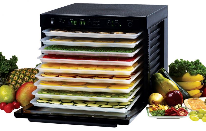 Finally, an professional quality, all digital dehydrator that blows 