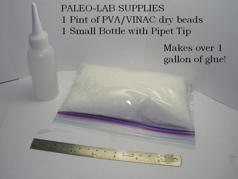 visit that area of our store paleo lab field supplies