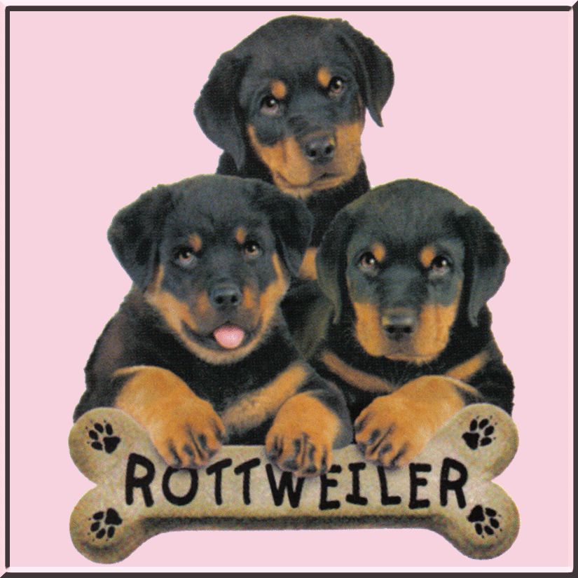 Rottweiler Puppies Dog Breed Bone SWEATSHIRT S 2X,3X,4X  