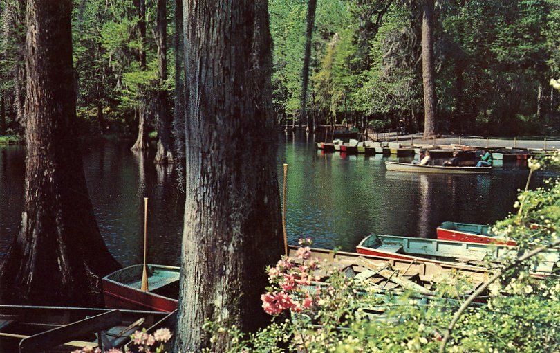 CHARLESTON SC CYPRESS GARDENS BOAT LANDING  