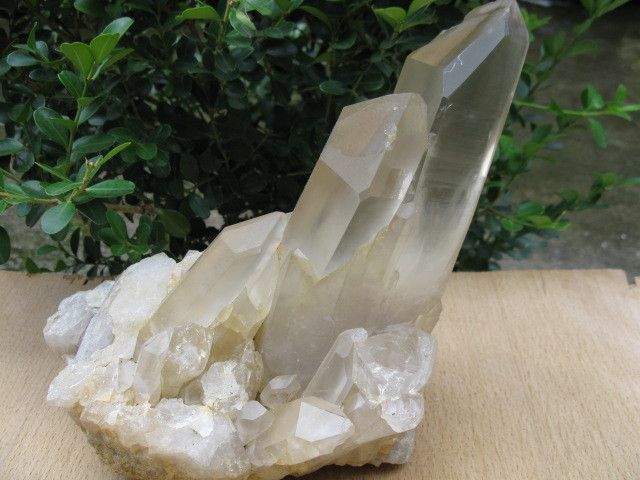 pretty Natural Quartz Crystal cluster Original #23  