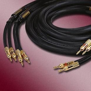 Choseal QiuYeYuan Hi End LA 5101 OCC Speaker Cable Pair  