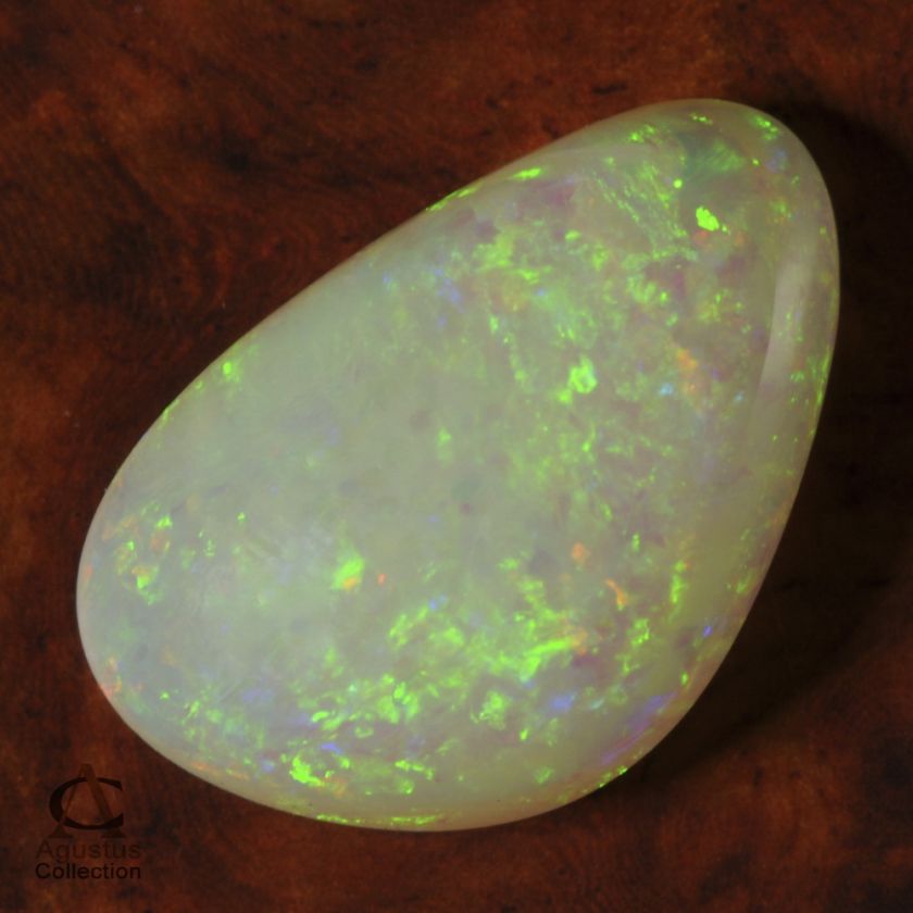 Gemstones Opal Australia Fossil by Agustus Collection