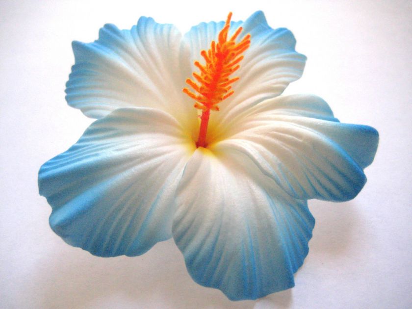   Bridal Wedding Party Life like Hibiscus Flower Hair Clip ~ BLUE  