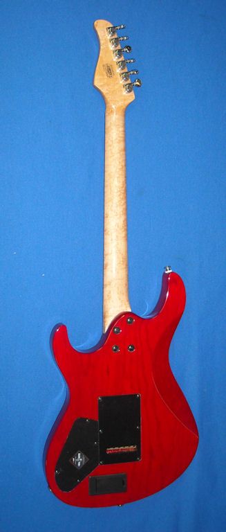 CORT G CUSTOM ELECTRIC GUITAR TES COLOR WITH HARD FOAM ZIPPERED CASE 